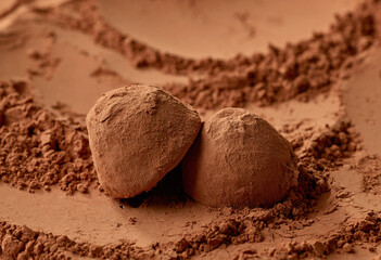 chocolate truffles on cocoa powder background