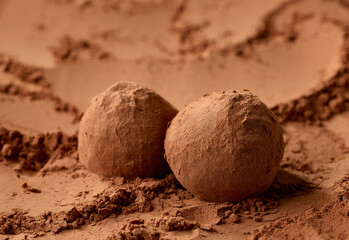 chocolate truffles on cocoa powder background