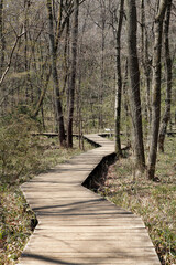 Fototapeta premium 小宮公園（かわせみの小道：八王子市）