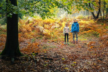 Children exploring the nature. Happy kids playing in the forest.