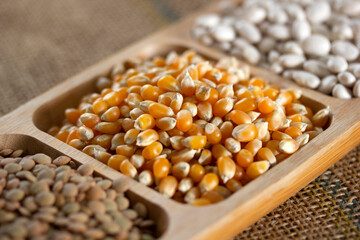 Healthy foods. White beans, dried corn and green lentils in the plate.