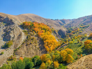 autumn season, colorful trees and mountains, natural landscape.