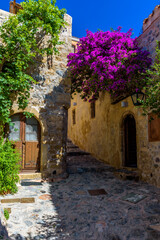 Traditional architecture with  narrow  stone street and a colorfull bougainvillea in  the medieval  castle of Monemvasia, Lakonia, Peloponnese, Greece.
