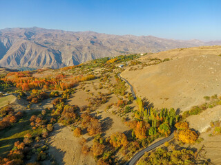 autumn season, colorful trees and mountains, natural landscape.