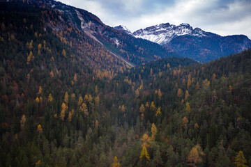 un bosco in trentino visto dal alto