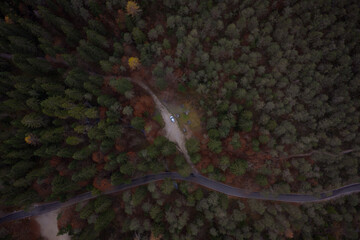 un bosco in trentino visto dall alto