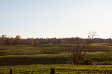 Fototapeta premium Midwest rolling hills in a field on a sunny autumn day with no people 