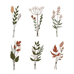 Set of floral elements. Botanical collection. bunches of wild herbs. Flowers, leaves, branches and other natural elements.