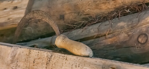 An old peasant sickle with a wooden handle close-up against a log wall