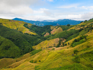 Fototapeta na wymiar Mountain view with yellow rice field and sky background