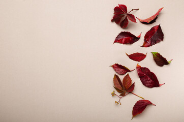 Top view of red fall leaves on the beige background.Empty space