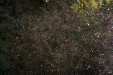 Pollen, Staub und Partikel als allergieausl&ouml;sende Bestandteile in der Luft