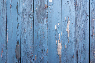 material texture of weathered wood boards with peeling blue paint