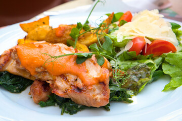 Delicious restaurant poultry dish - grilled boneless chicken leg served with country style potato and vegetable salad