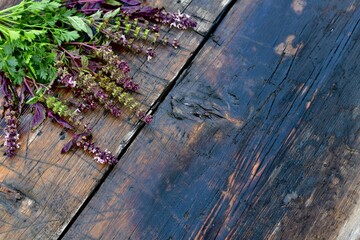  Basil flowers with parsley against a wooden background. In the upper left corner, diagonally.