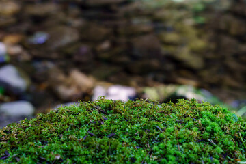 木谷峡の川のせせらぎ