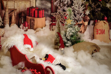 Obraz na płótnie Canvas Set up christmas table inside a house