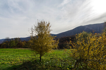 Bieszczady - panorama 