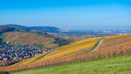 Fototapeta na wymiar Struempfelbach - Vineyards at Weinstadt region - beautiful landscape in autum close to Stuttgart, Baden-Wuerttemberg, Germany