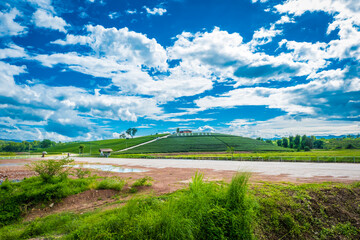 Choui Fong Tea Plantation on a hill that is famous in Chiang Rai and is a popular tourist destination in Thailand.