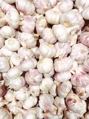 Full frame of heads of garlic as background.