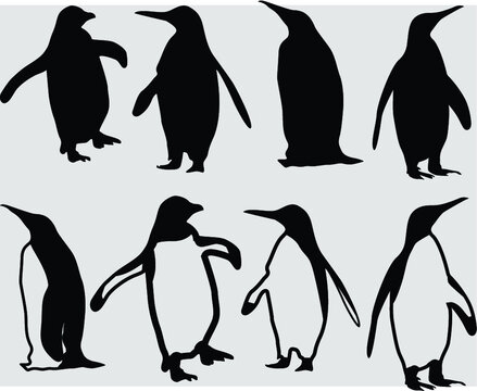 Penguin Clipart, Penguin Silhouette, Penguins Clipart