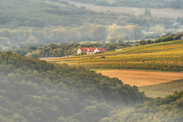 Fog covers the landscape between the hills of the Balaton Uplands in Hungary during the autumn with...