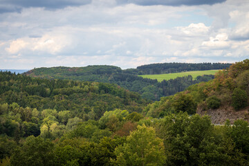 Green trees on a summer day near Bernkastel-Kues,, Germany.