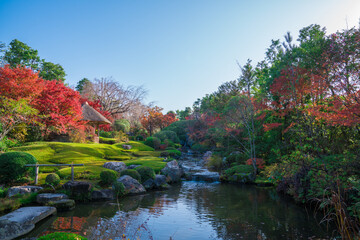 Fototapeta na wymiar 京都　妙心寺　退蔵院の紅葉