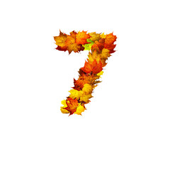 Colorful autumn leaves isolated on white background as number seven.