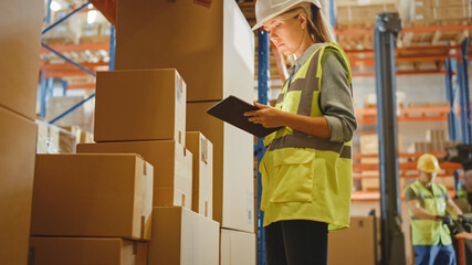 Retail Warehouse full of Shelves with Goods in Cardboard Boxes, Female Worker Scans and Sorts Packages for Delivery. Loaders Move Products with Pallet Trucks. Distribution Logistics Center. Low Angle