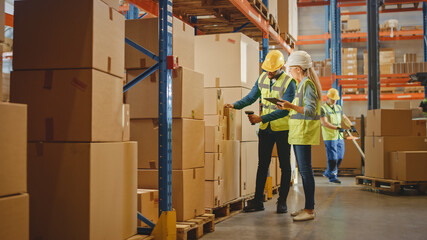 Retail Warehouse full of Shelves with Goods in Cardboard Boxes, Male Worker and Female Supervisor...