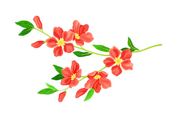 Bloomy Flower Branch with Tender Florets Vector Illustration