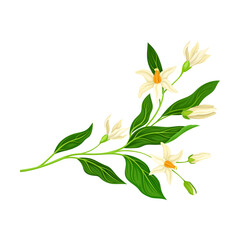 Florescent of Flower Branch with Lush Petals and Green Leaves Vector Illustration