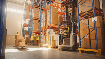 Retail Delivery Warehouse full of Shelves with Goods in Cardboard Boxes, Workers Scan and Sort...