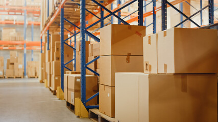 Fototapeta na wymiar Big Retail Warehouse full of Shelves with Goods in Cardboard Boxes and Packages. Logistics, Sorting and Distribution Facility for further Product Delivery. Semi Side View