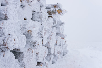 Frozen snow-covered logs in winter