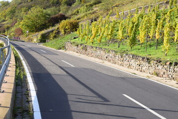 gewundene Landstraße Weinberge über Pommern an der Mosel im Oktober