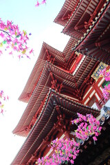 ChinaTown - Singapore