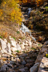 Oberer Großbach bei Menzenschwand im Herbst