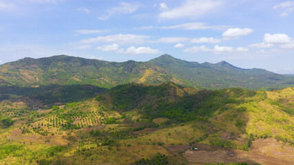 Fototapeta na wymiar Farming and growing plants in rural areas of Mindanao island, Philippines.