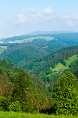 Fototapeta na wymiar Black Forest landscape, Germany