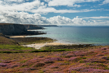 Coast near Pointe de Dinan on a cloudy day in summer