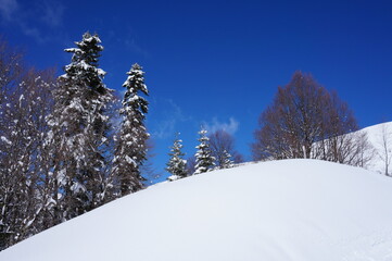 Beautiful winter landscape in the mountains.