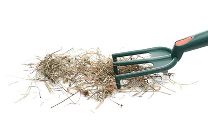 Rake and hay pile, dry grass isolated on white background © dule964