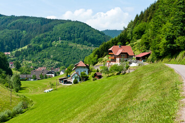 Fototapeta na wymiar Black Forest landscape, Germany