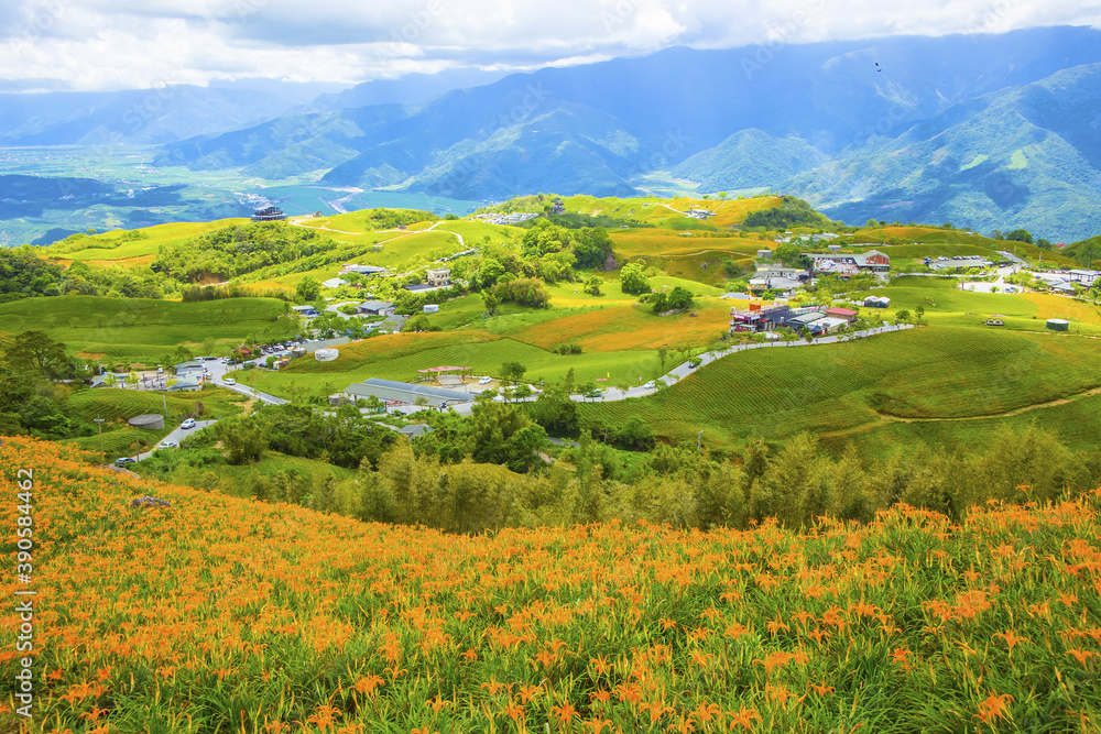 Sticker Hualien Lily flower sea