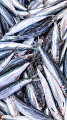 Obraz premium Background texture of fresh healthy sardines