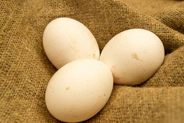 Large white eggs lying on sacking. Close up.
