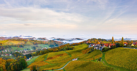 Aerial panorama from Eckberg at Autumn grape hills and foggy Alps in distance.